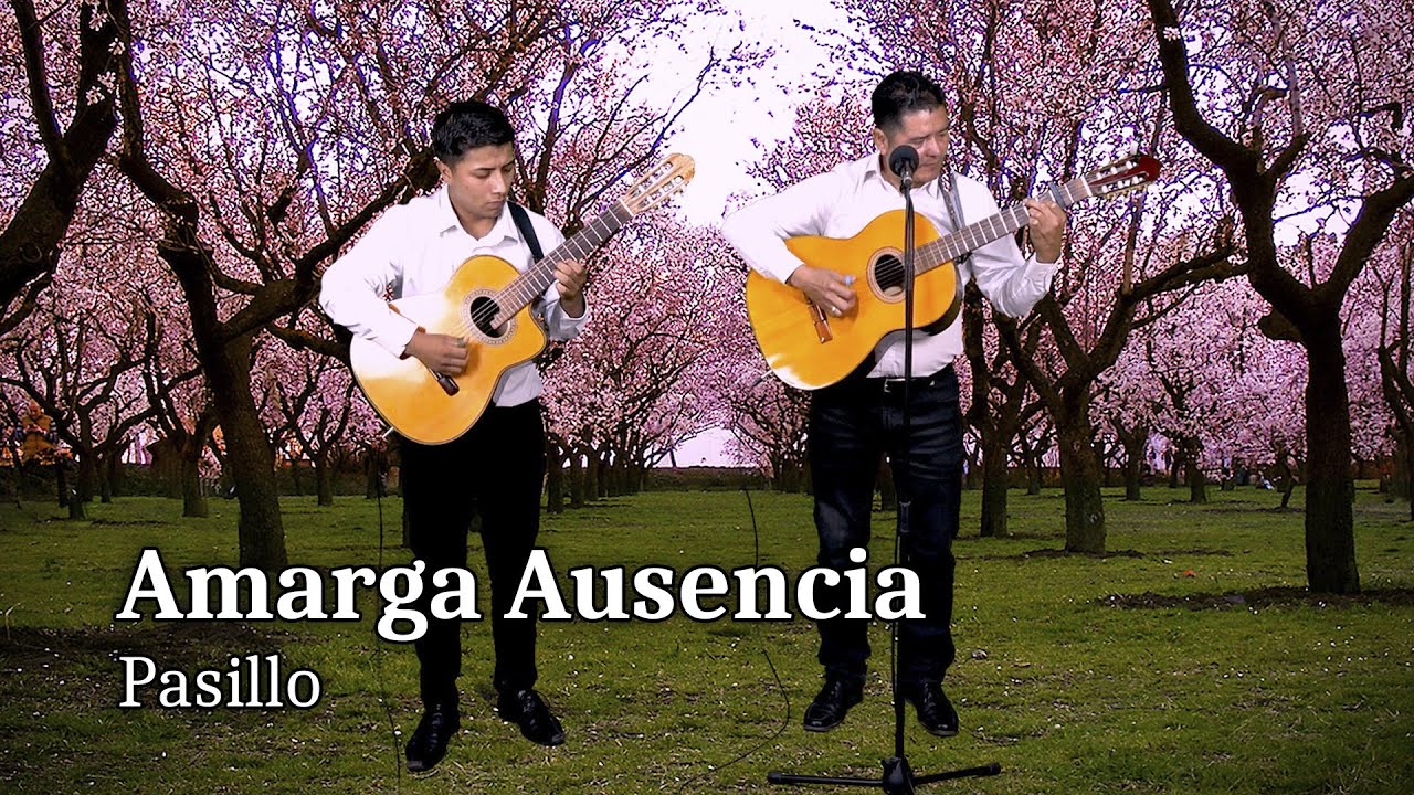 Amarga Ausencia - Pasillo | Luis Armando El Rockolero