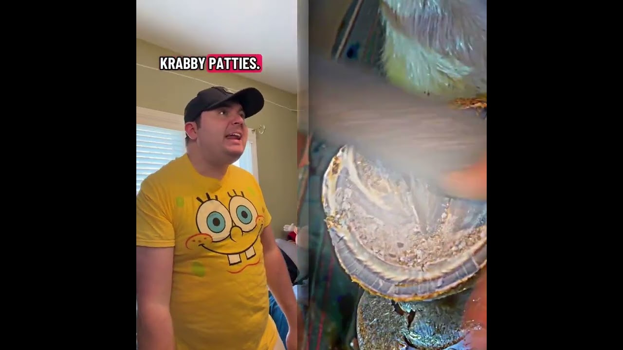 🤣👌👌👌2025 pov Must-Watch Crazy Clips Compilation #humor #fypシ #pov #fyp #foryou 😍😜