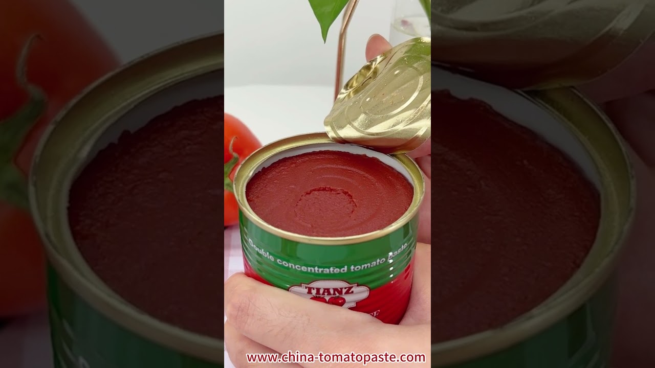 Canned Tomato Paste | Support OEM&ODM | Tianz Food Factory