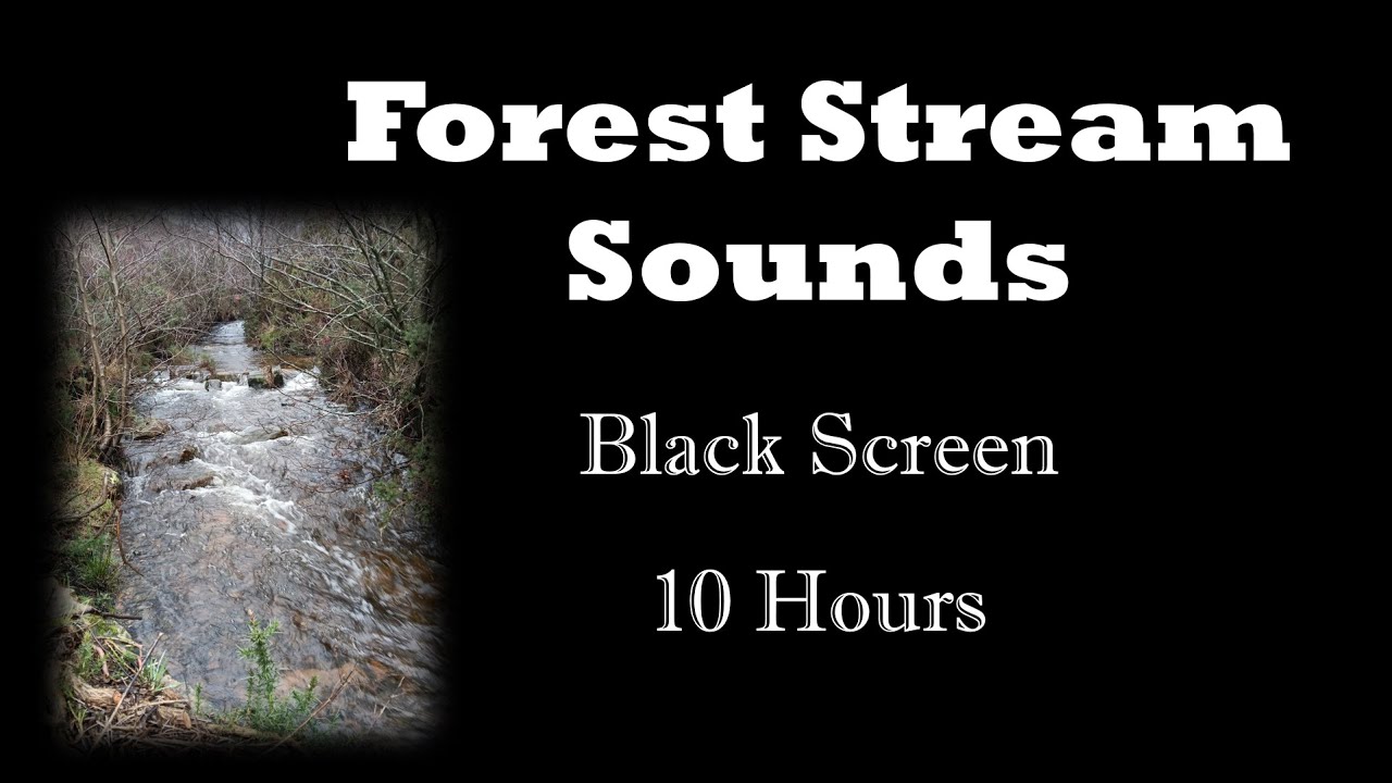 Flowing Stream Water Sounds for Deep Sleep 🌊 10 Hours | Black Screen White Noise