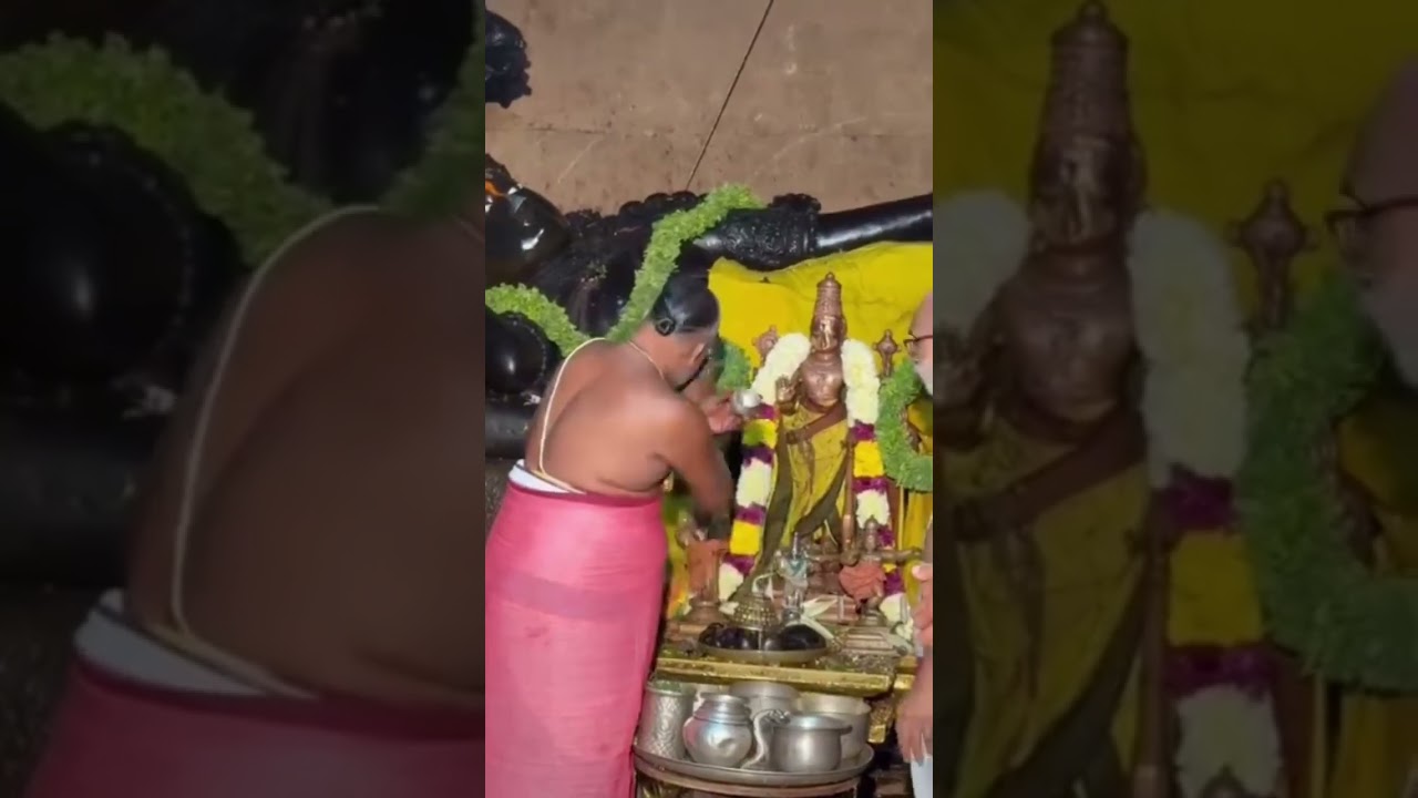 Srirangam Sri Ranganatha Swamy | Vaikunta Ekadasi | Kanakan Kodi | Balasai T P
