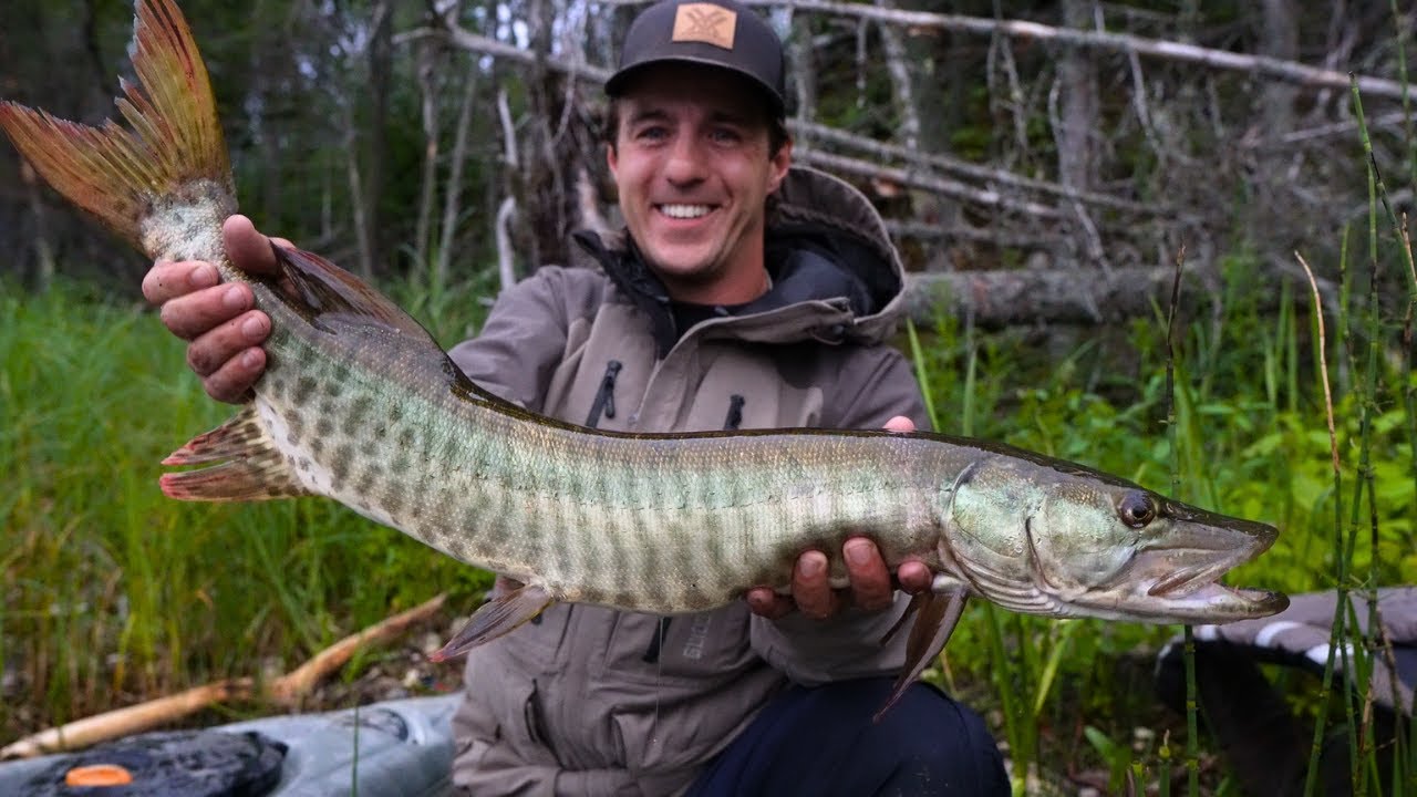 DUCK MOUNTAINS Manitoba! | TOPWATER Muskie Fishing (Whopper Plopper)
