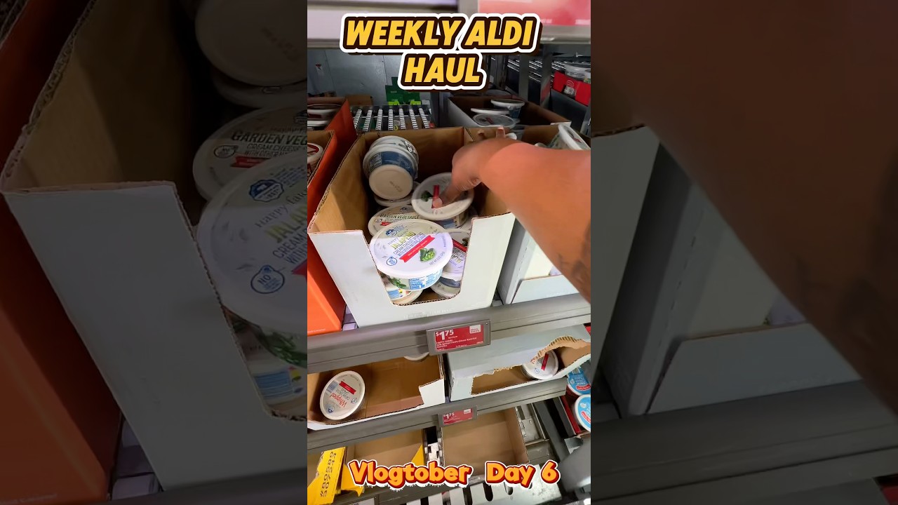 Vlogtober Day 6 🛒 Weekly ALDI grocery haul &mdash; fall staples & easy meals 🍁✨