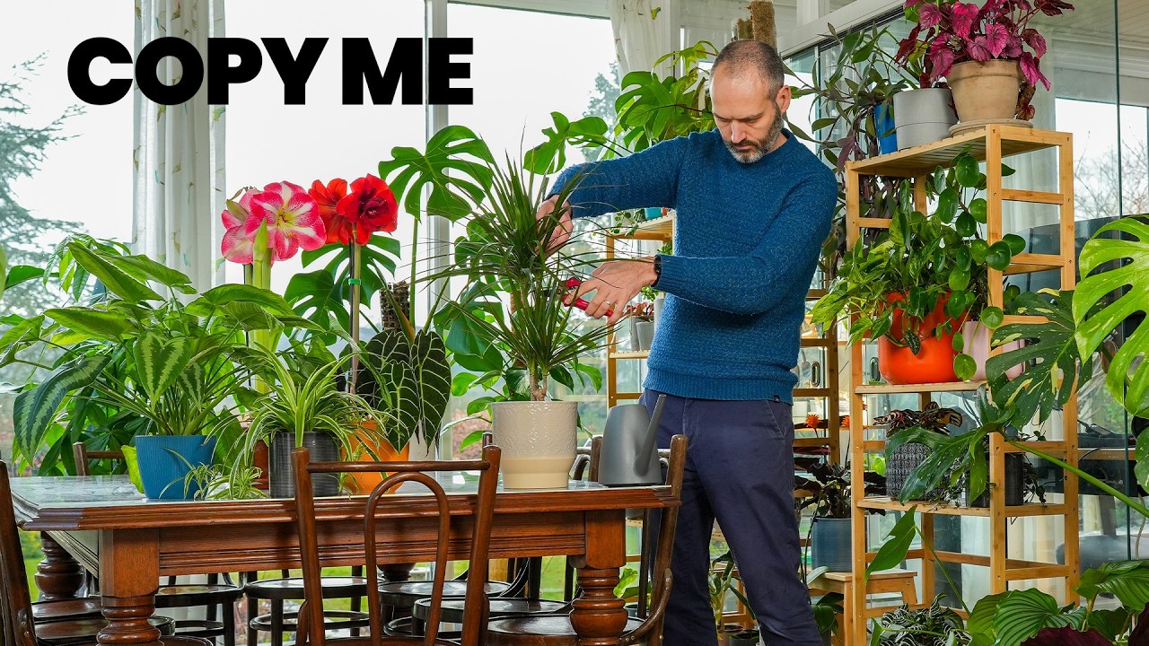 My Routine For Epic Plant Growth