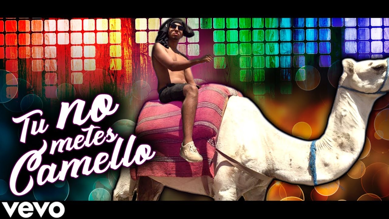 TÚ NO METES CAMELLO (Parodia Tu No Metes Cabra)