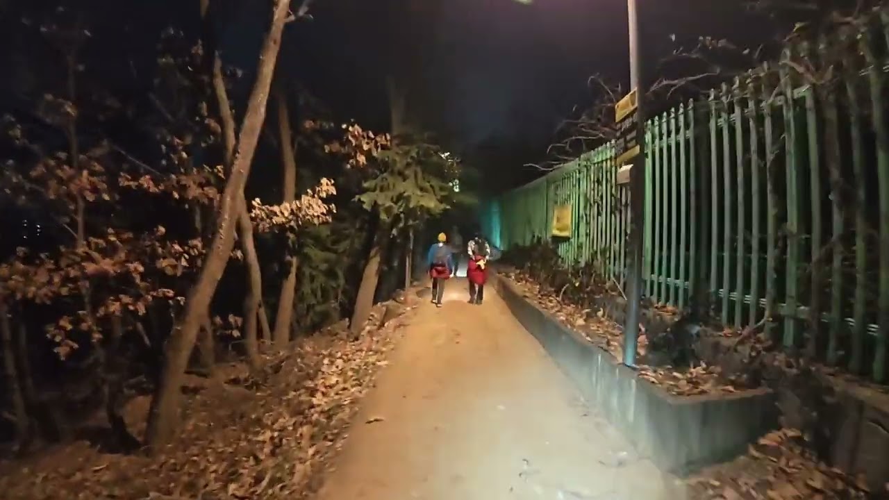 서달산, 국립묘지 미모야 야간산행 26-04