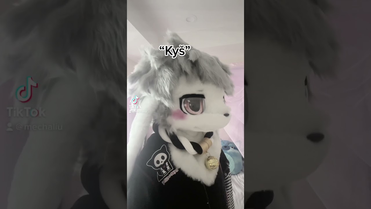 Awooo bark bark  