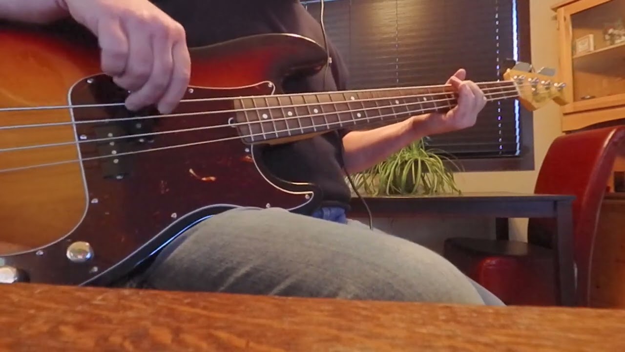 The Captain Of Her Heart. Double. Bass cover.