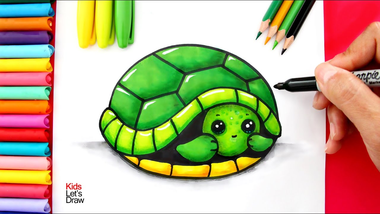 Cómo dibujar una TORTUGA escondida en su CAPARAZÓN