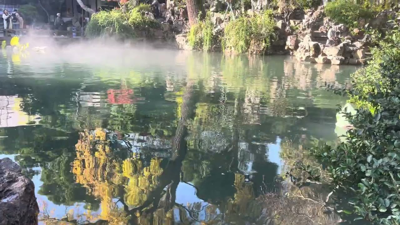 #園林#怡情養性-2024.11.30江蘇蘇州留園