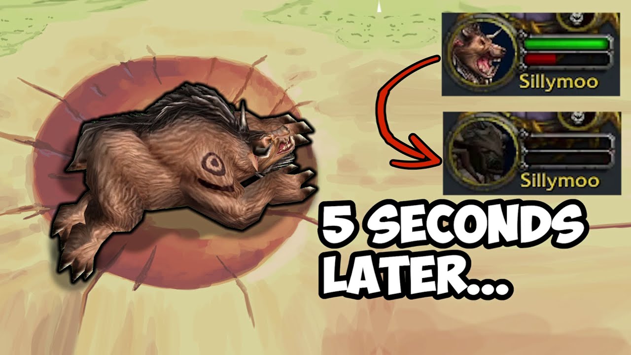 TBC Bears are Broken But There's a Huge Problem
