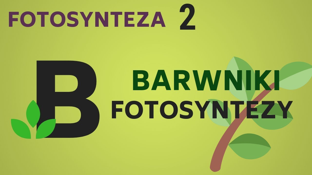 BARWNIKI FOTOSYNTEZY - fotosynteza - KOREPETYCJE z BIOLOGII - 56