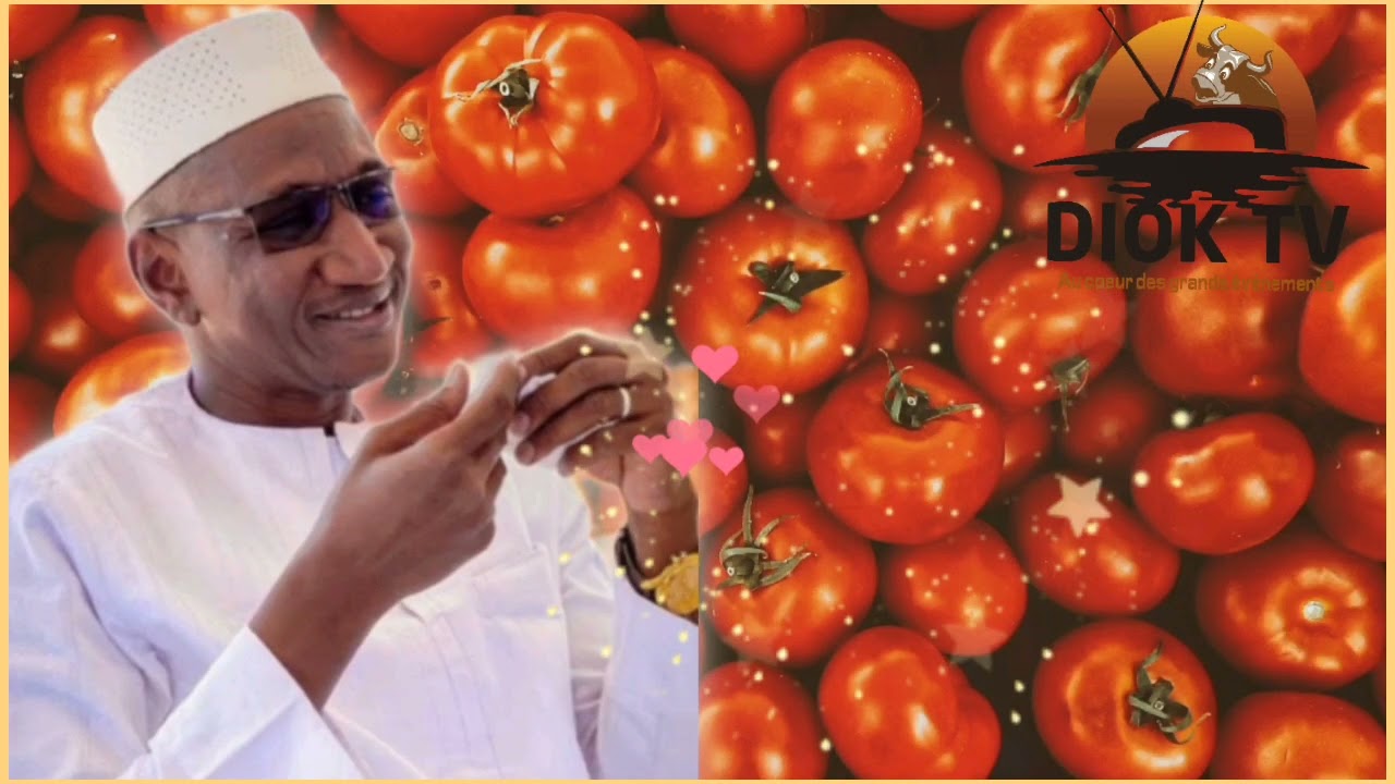 Bah KIDA vs Mountaga YARA dit THALO