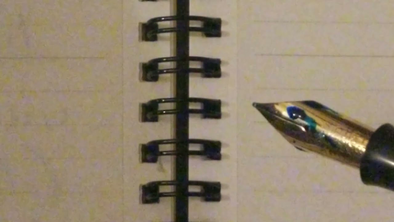 Incredible Vintage Flex Fountain Pen