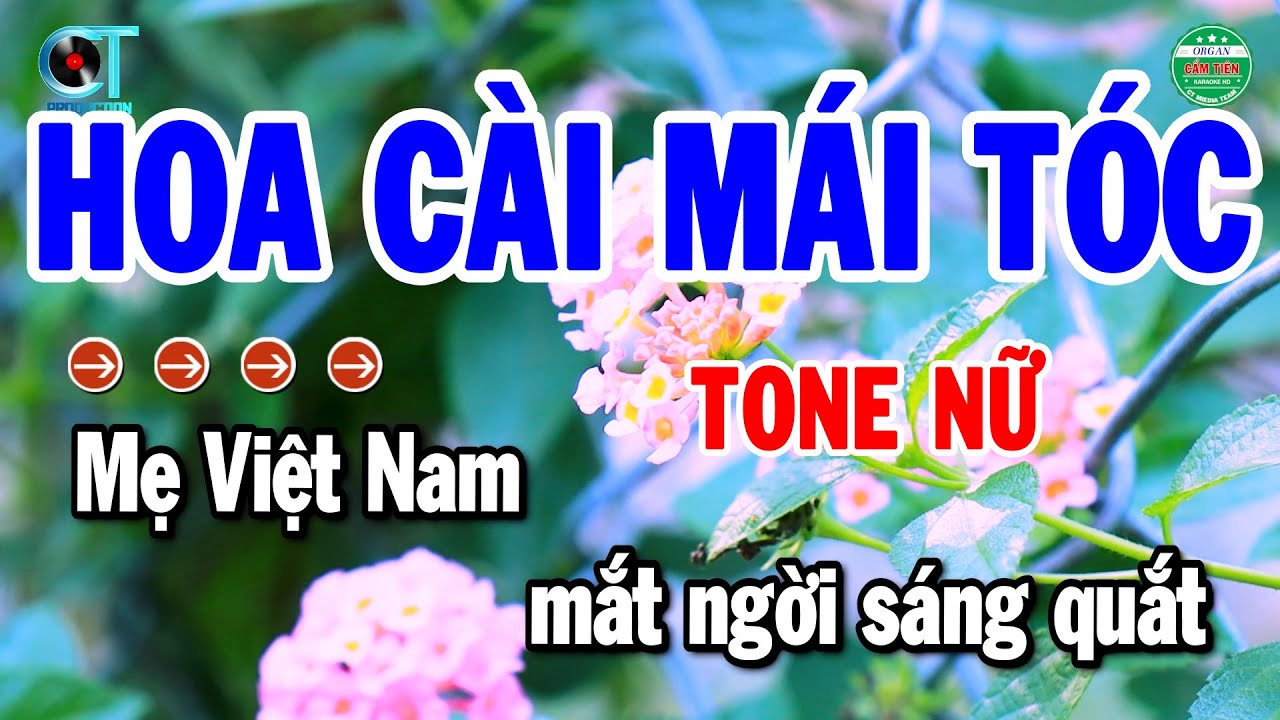Karaoke Hoa Cài Mái Tóc Tone Nữ Nhạc Sống Cha Cha Chuẩn Nhất 2026 | Cẩm Tiên Organ