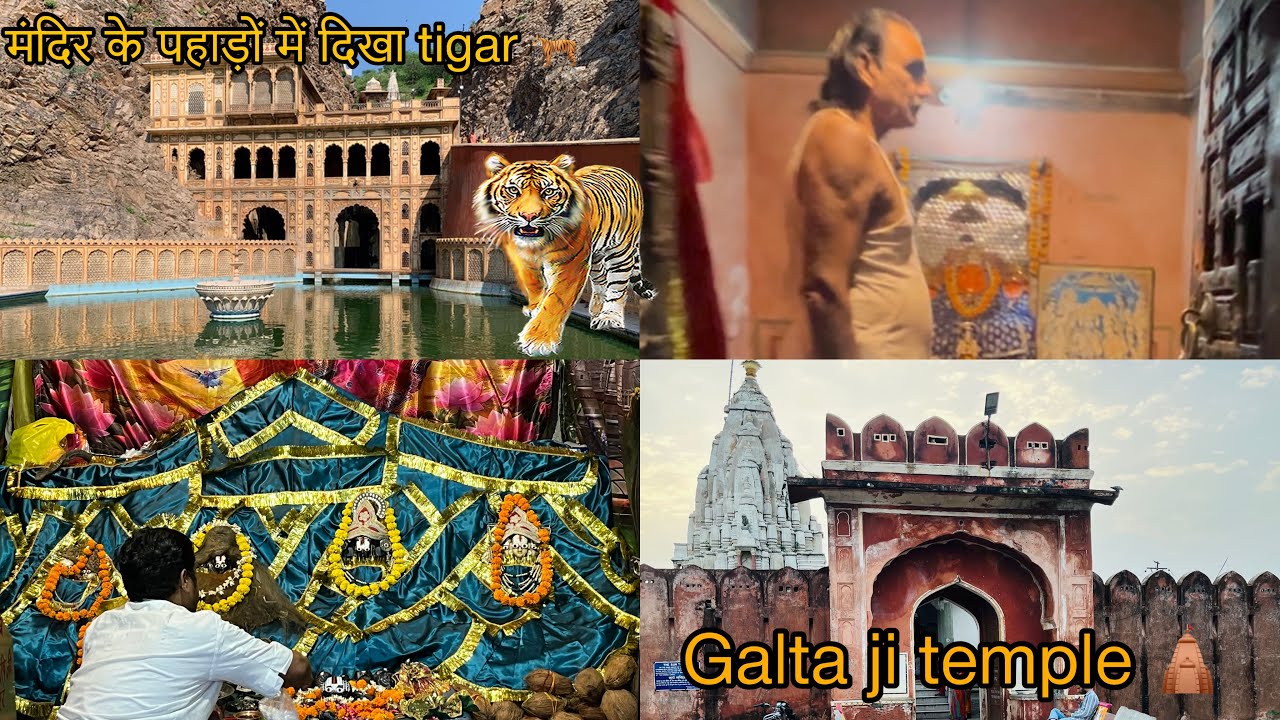 गलता जी मंदिर जयपुर🛕|| मंदिर के पहाड़ों में दिखा tiger 🐅