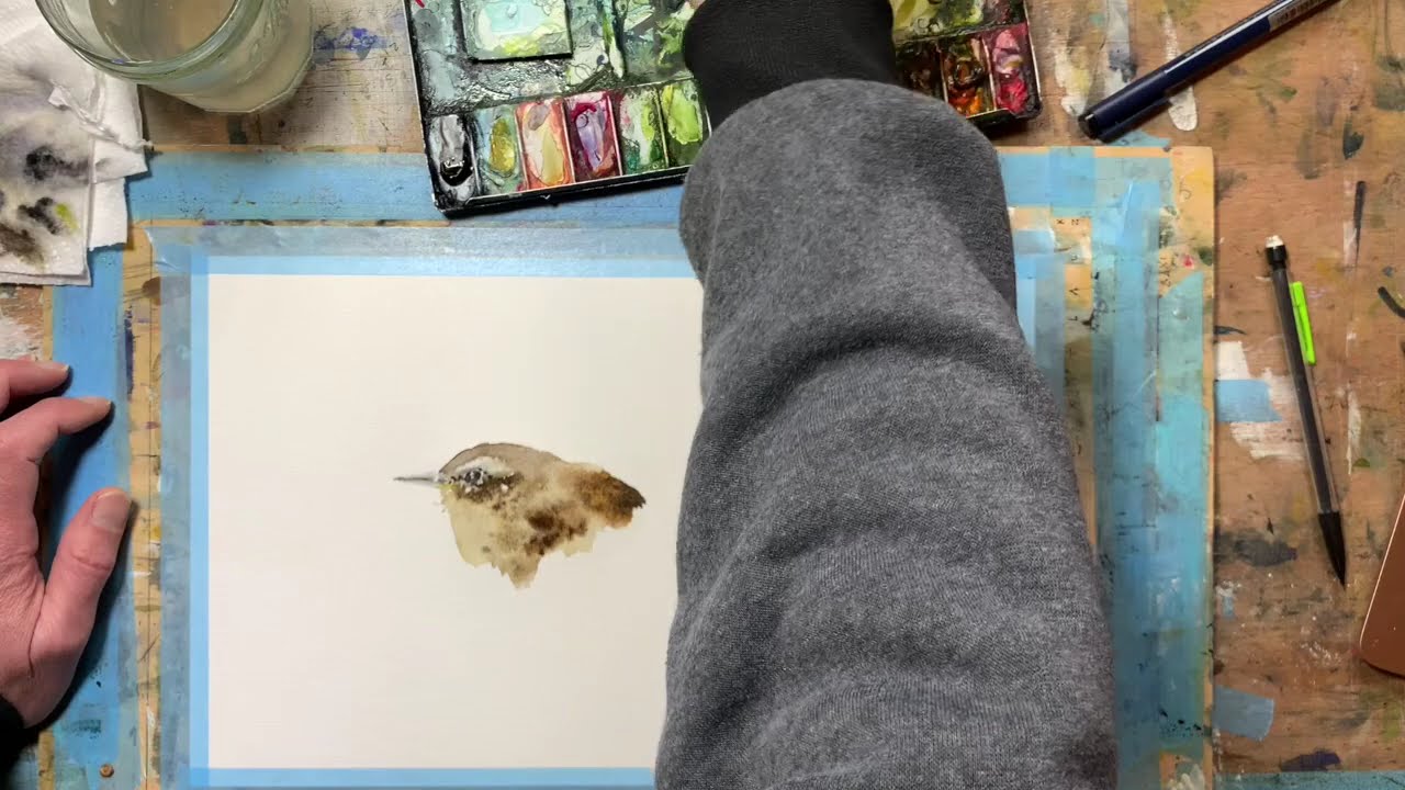 How to paint a wren.
