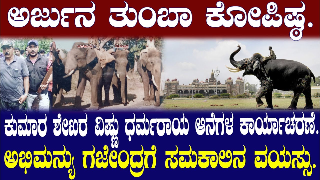 ಅರ್ಜುನ ತುಂಬಾ ಕೋಪಿಷ್ಠ. ಅಭಿಮನ್ಯು ಗಜೇಂದ್ರಗೆ ಸಮಕಾಲಿನ ವಯಸ್ಸು. ಕುಮಾರ ಶೇಖರ ವಿಷ್ಣು ಧರ್ಮರಾಯ ಆನೆಗಳ ಕಾರ್ಯಾಚರಣೆ.