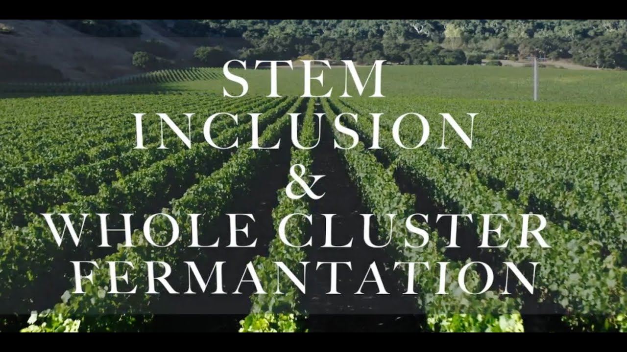 Stem Inclusion & Whole Cluster Fermentation