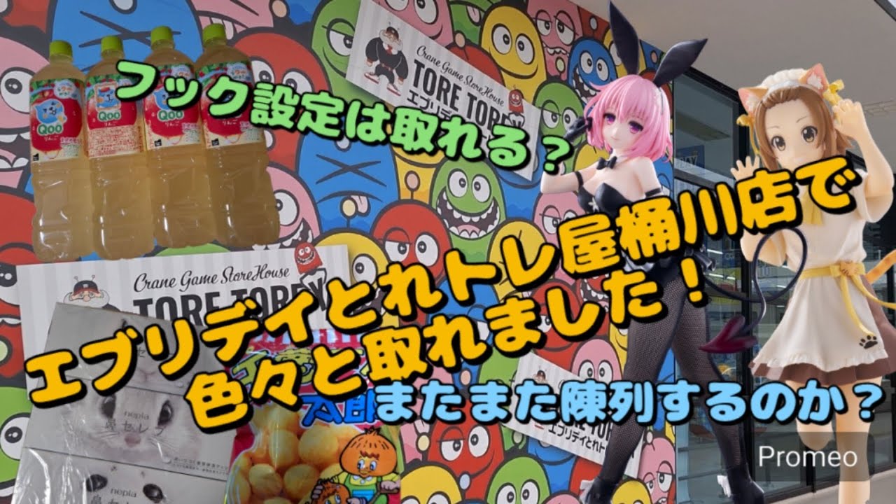 【クレーンゲーム】エブリデイとれトレ屋桶川店で色々と獲得していると意外と取れることが分かりました！陳列するかは見てからのお楽しみです！