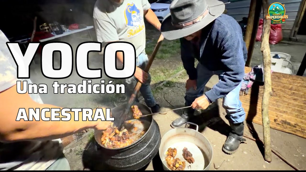 EL YOCO DE  CHILOÉ (reitimiento de cerdo) UNA TRADICIÓN ANCESTRAL