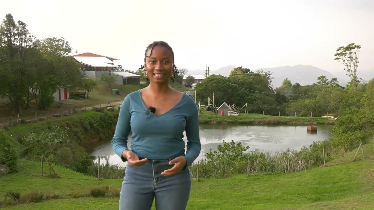 Waterford Kamhlaba UWCSA Sustainability Projects