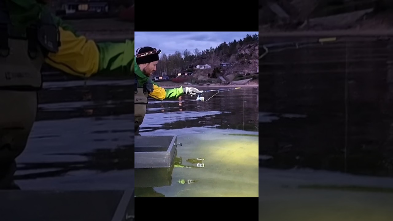 Window fishing for flounder//vindusfiske etter flyndre