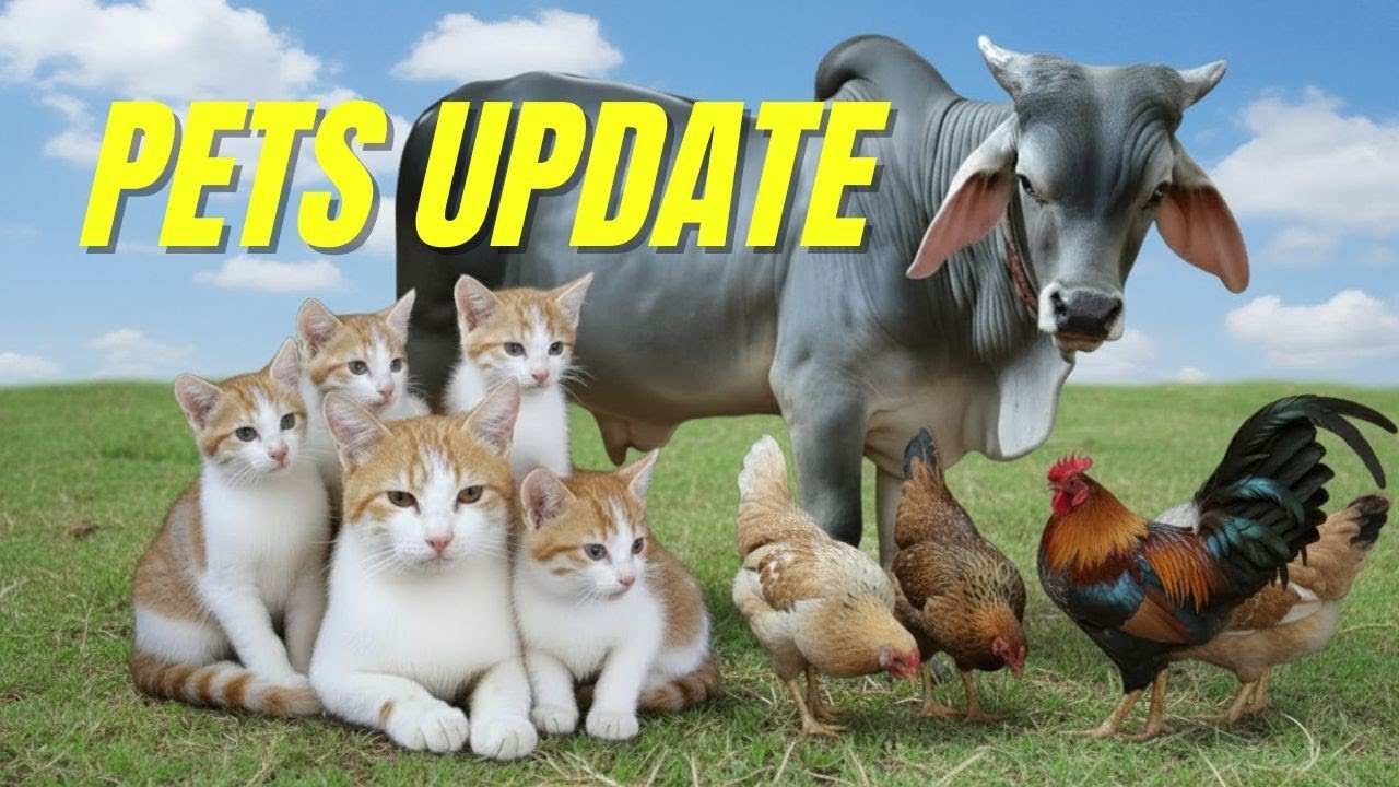 Latest Pet Updates 🐱🐮🐔 | Cute Animals, Farm Pets & Daily Animal Life Vlog