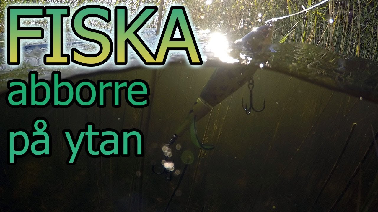 FISKA - Abborre på ytan