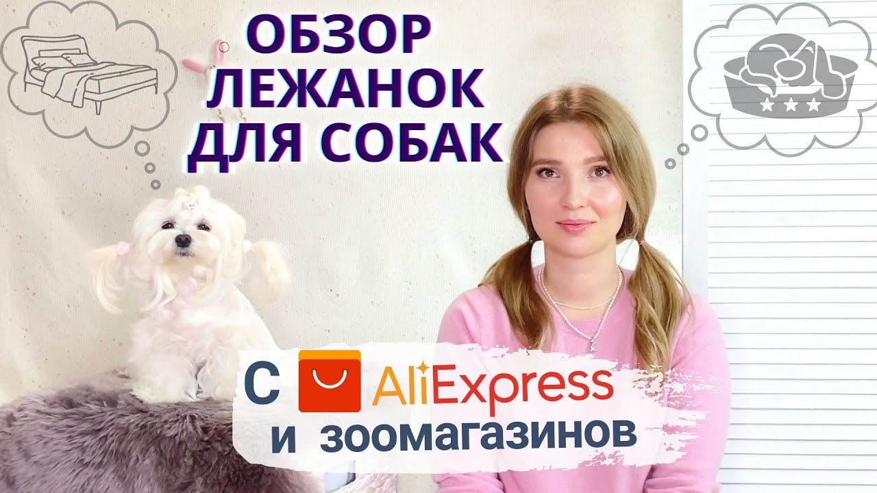 Лежанки для собак с AliExpress и зоомагазина.
