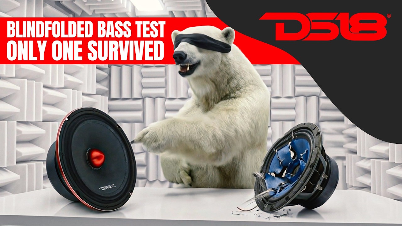 DS18 Audio: Эксперимент