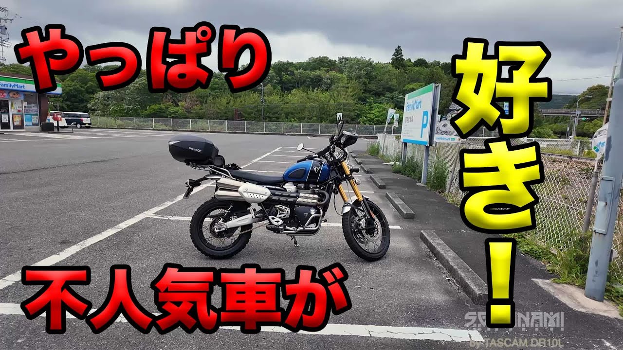 【やっぱり不人気車が好き？】空波鳥の呟き2025