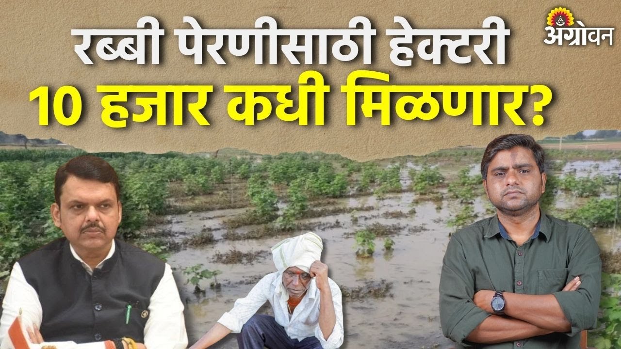 Ativrushti Madat: शेतकऱ्यांना रब्बीच्या पेरणीसाठी सरकारच्या मदतीची प्रतिक्षा | Agrowon