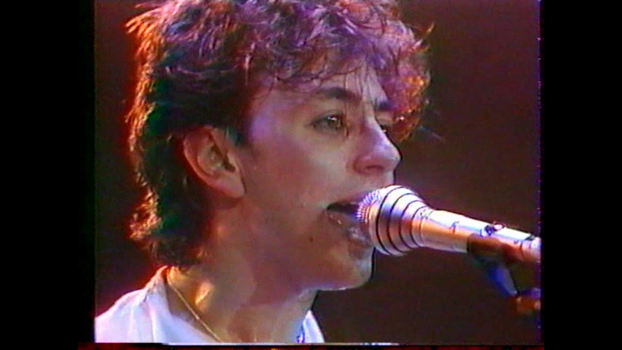 Stray Cats 