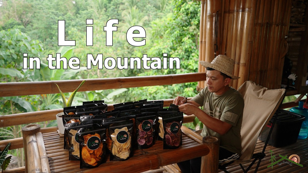 Good business in the mountains | Planting Chilli & Tomato | Life in the Mountains