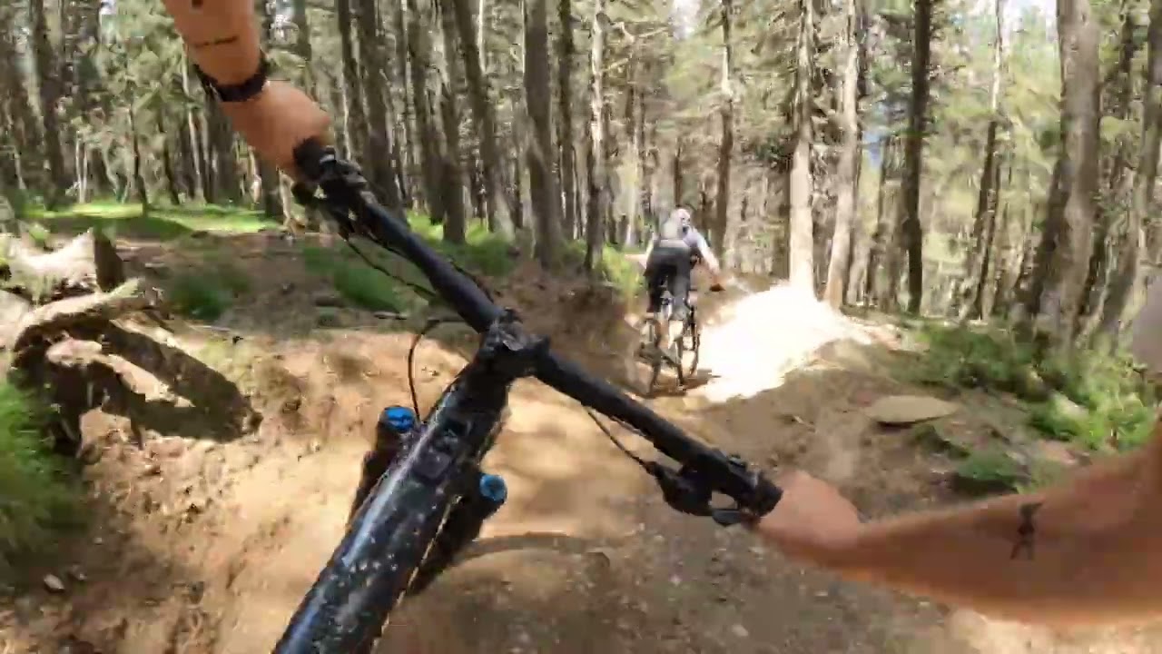 Andorra MTB SHREDIT 🤟