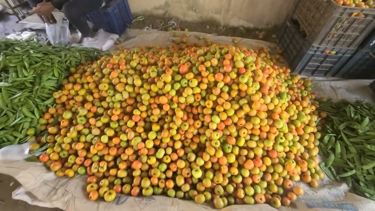 গ্রামের হাঁট, রাণীগন্জ, কাপাসিয়া,গাজীপুর |সাপ্তাহিক হাঁট |গ্রামের বাজার 