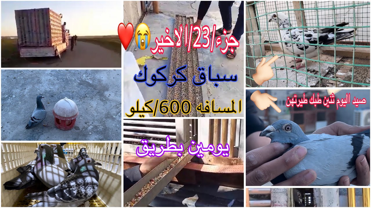 جزء23 /الاخير سباق كركوك 😔❤️ المسافه600/كيلو / ضروف صعبه شاهد الفيديو الحمام شصار بي