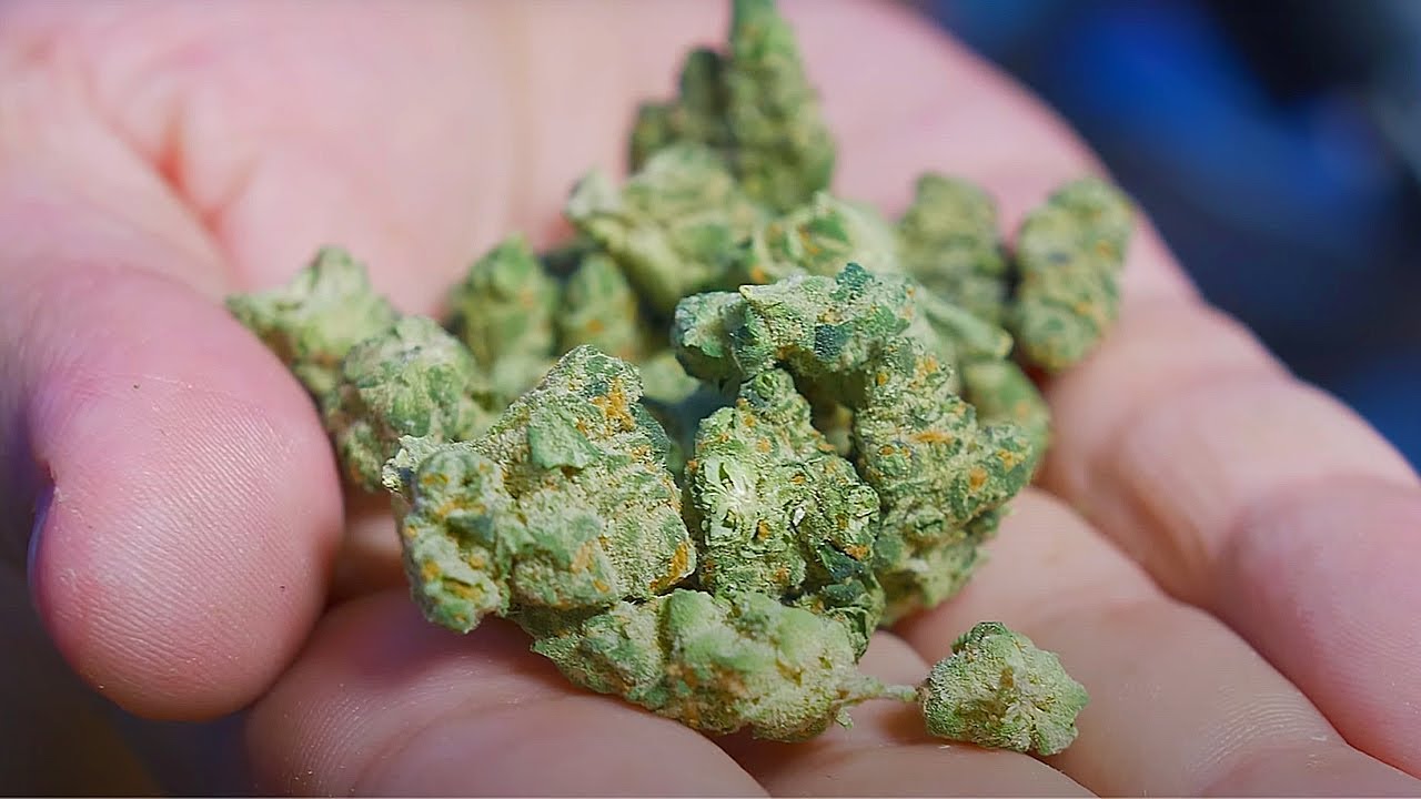 Grape Spirit Strain Review 🍇 Arkansas Budget Bud or Secret Banger? (Southern Social Cannabis Club)
