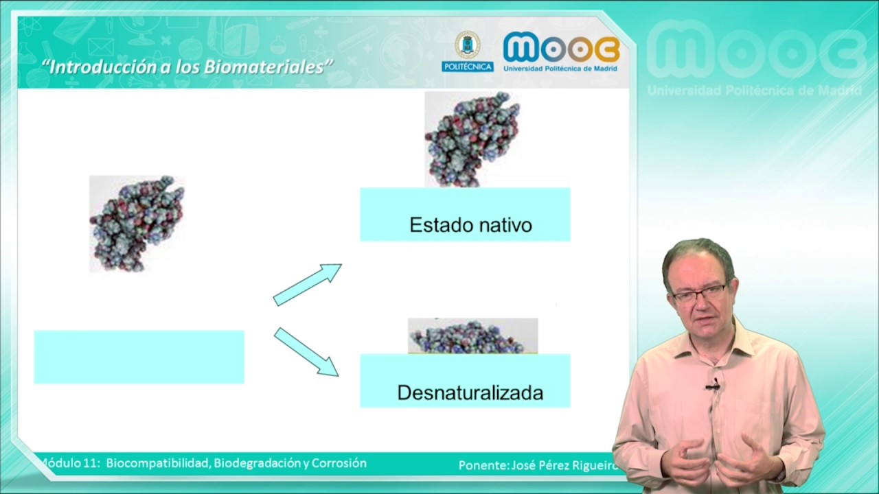 MOOC Biomateriales: El paradigma de la biocompatibilidad