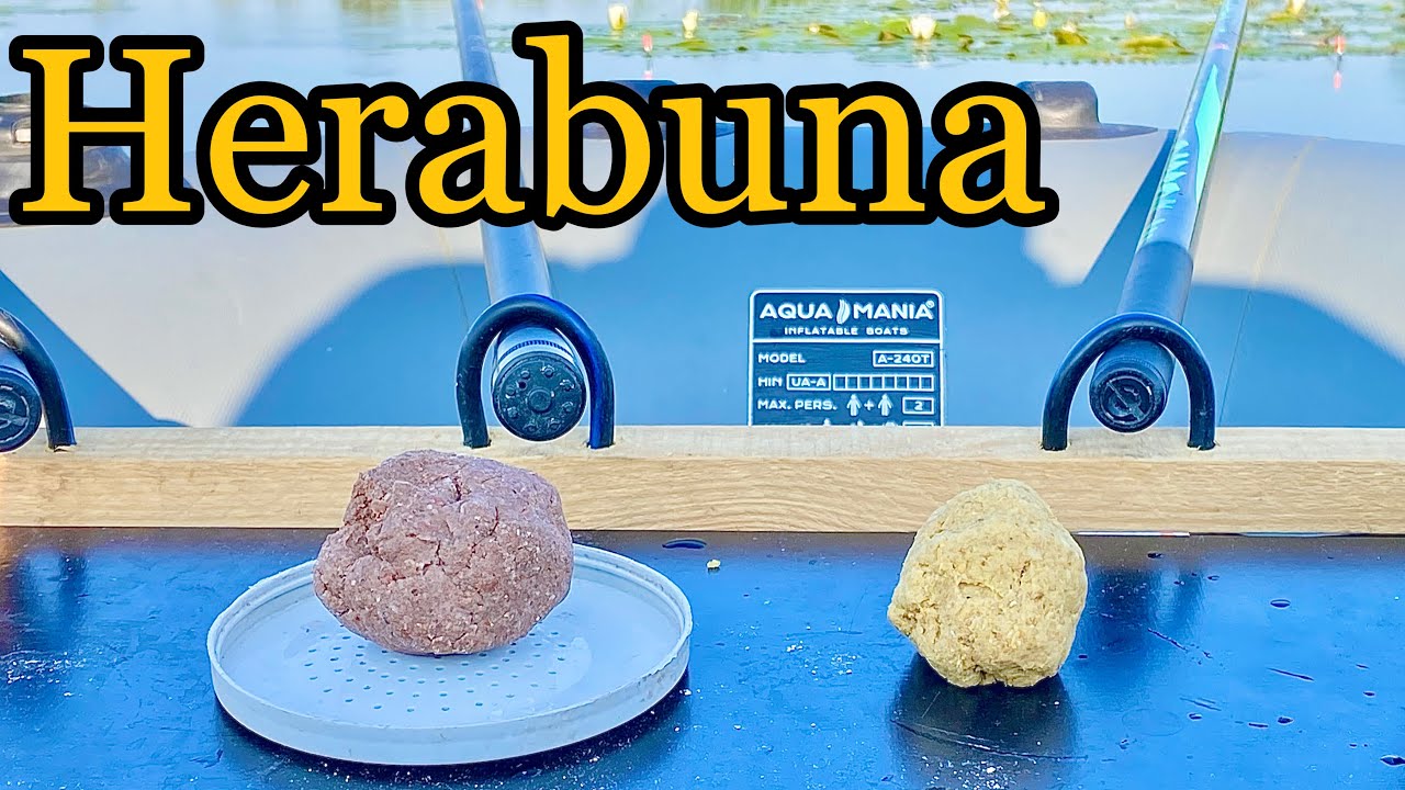 Тісто на карася. Херабуна Herabuna