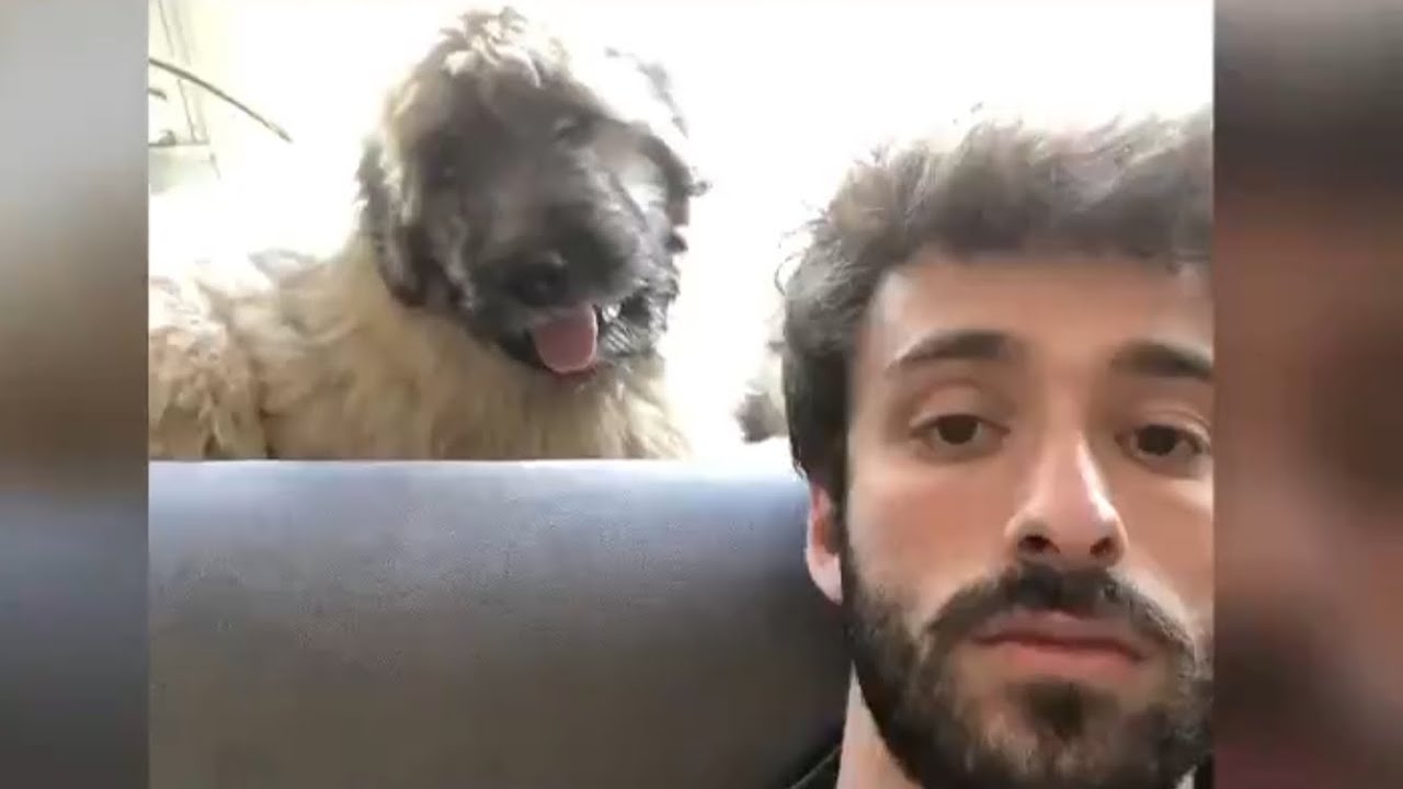 shay compilation