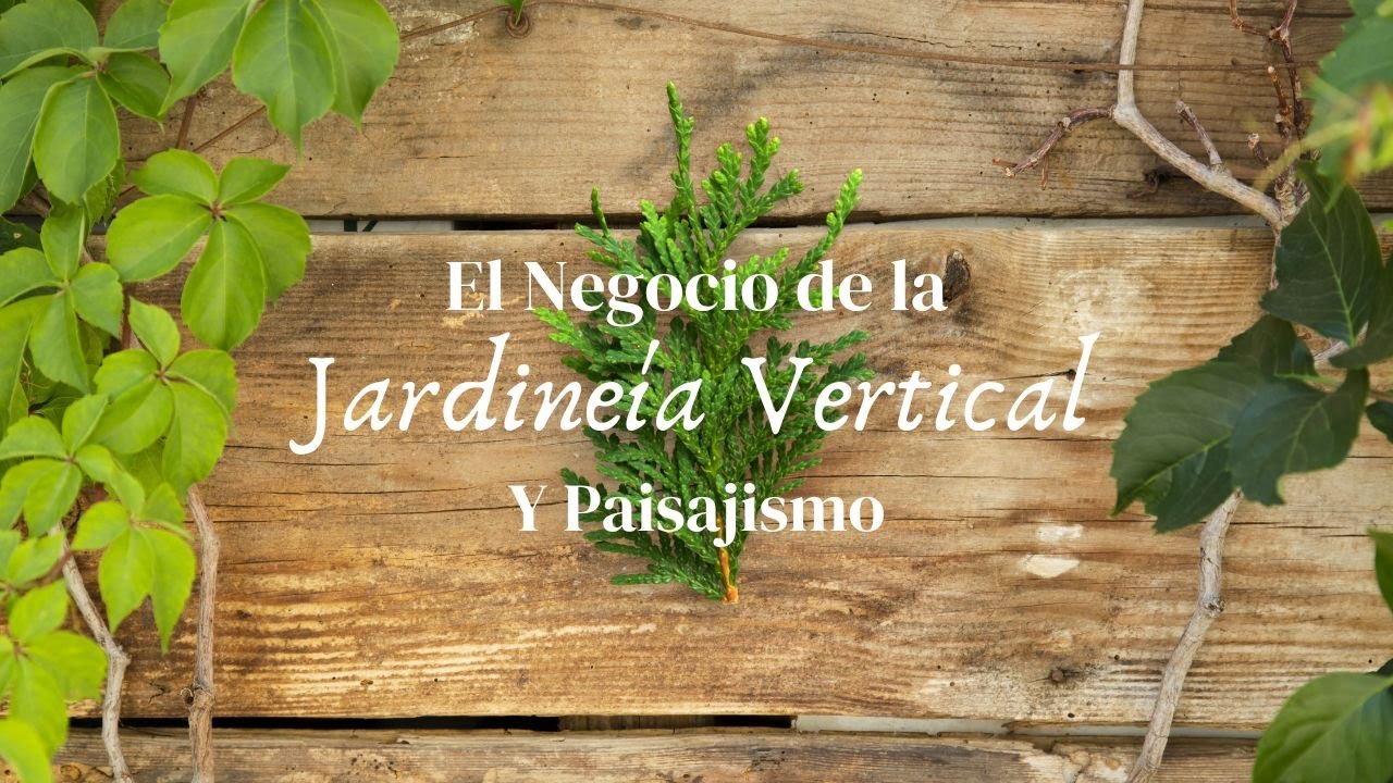 EL NEGOCIO DE LA JARDINERIA VERTICAL Y PAISAJISMO  |  ANTHONY RODRIGUEZ BARQUERO  |  CURSO COMPLETO