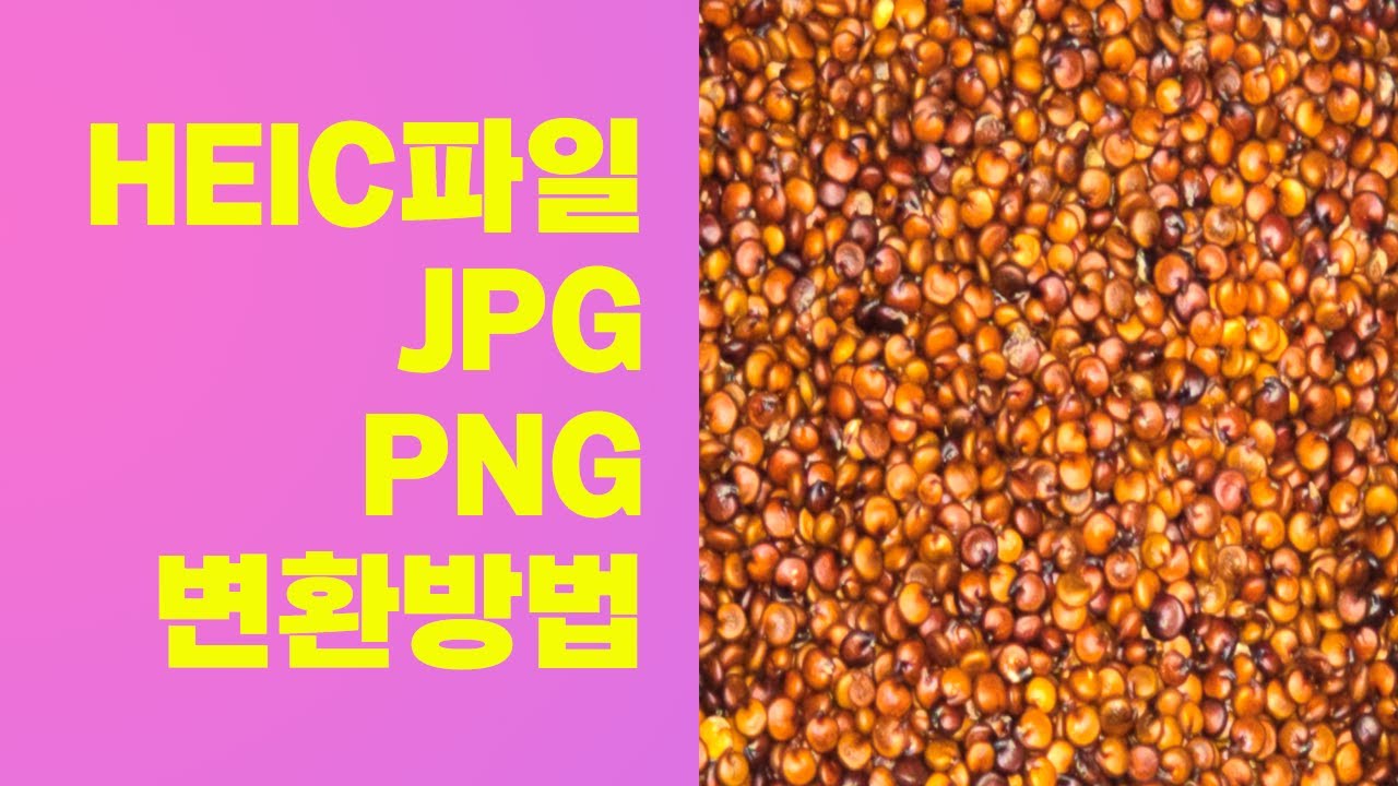 HEIC파일JPG로 바꾸는 방법