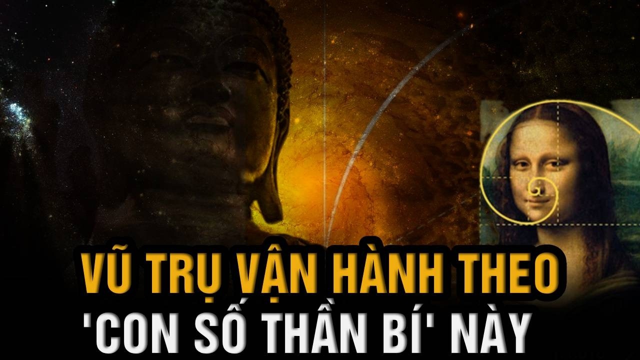 Từ cái cây, ngọn cỏ cho đến thế giới của Đức Phật... tất cả đều nằm trong mật mã này!
