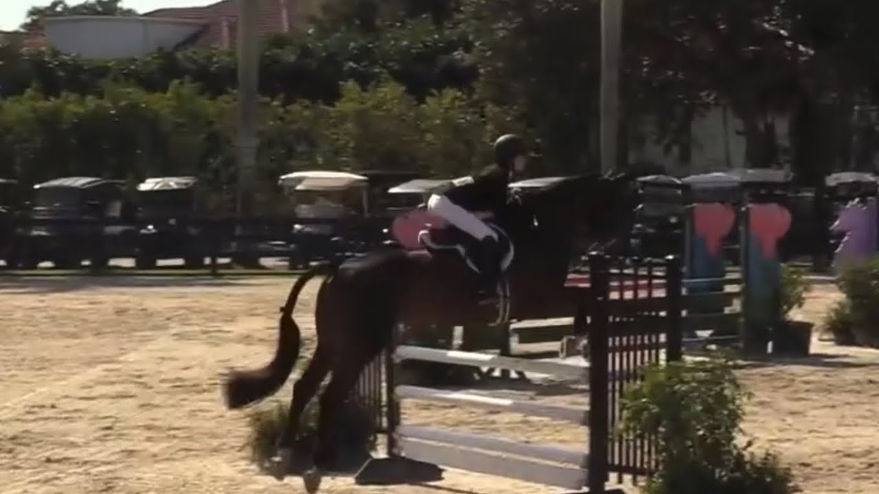 Indigo Van De Muggenhoek & Carsyn Korotkin ASPCA (4th), USEF Medal (6th) WEF 7, 2026