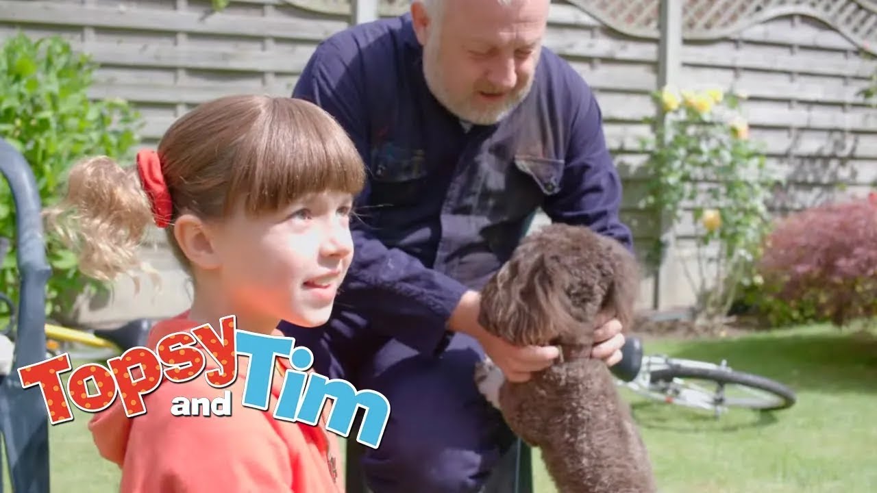 Topsy ve Tim Türkçe - İki Köpek - Sezon 3 Bölüm 6 | HD Tam bölüm