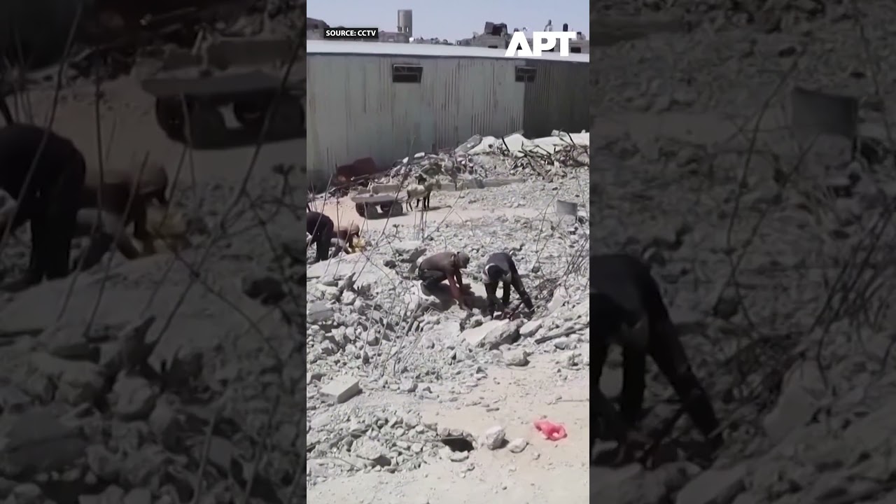 Death Toll in Gaza Conflict Surpasses 73,000 Since October 2023, Medical Sources Report | APT