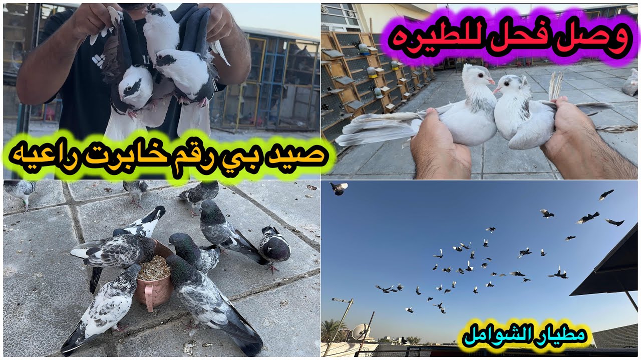 صيد اليوم بي رقم❤️وصل فحل فووول😍😍