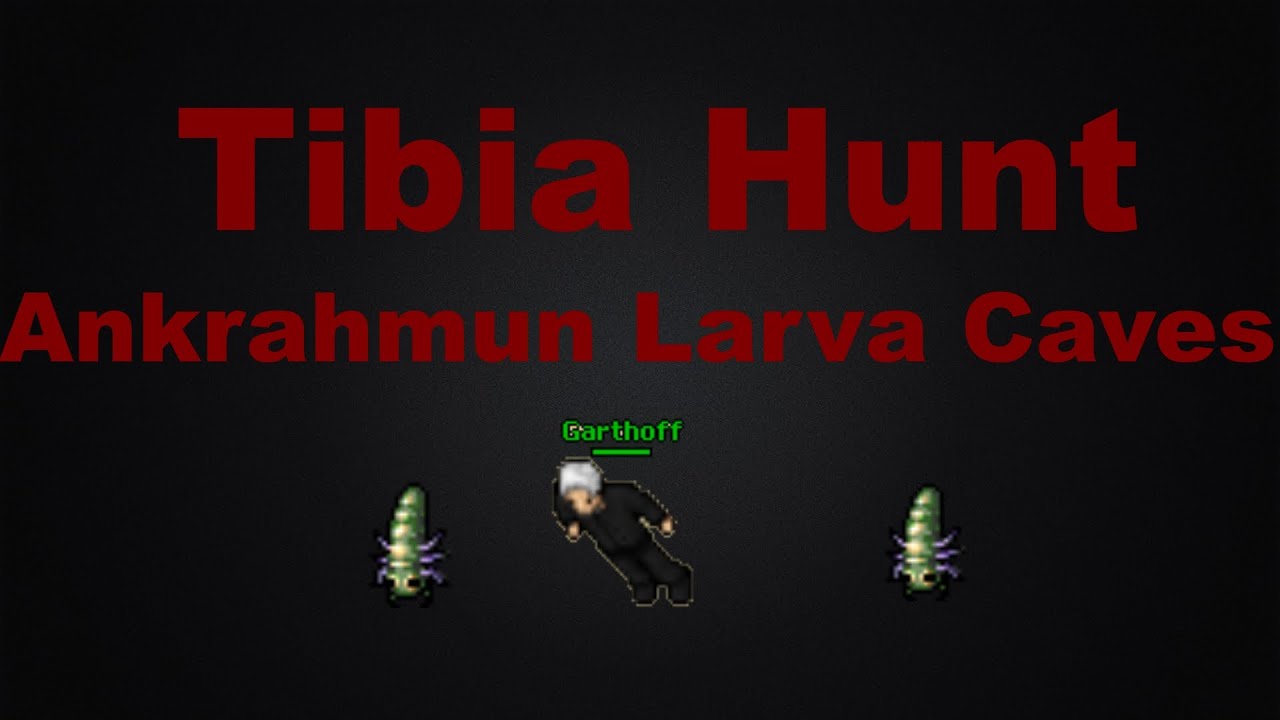 Tibia Hunt: Ankrahmun Larva Caves